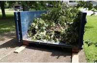 Services 5 Low-profile blue dump trailer loaded with tree branches and green yard waste.